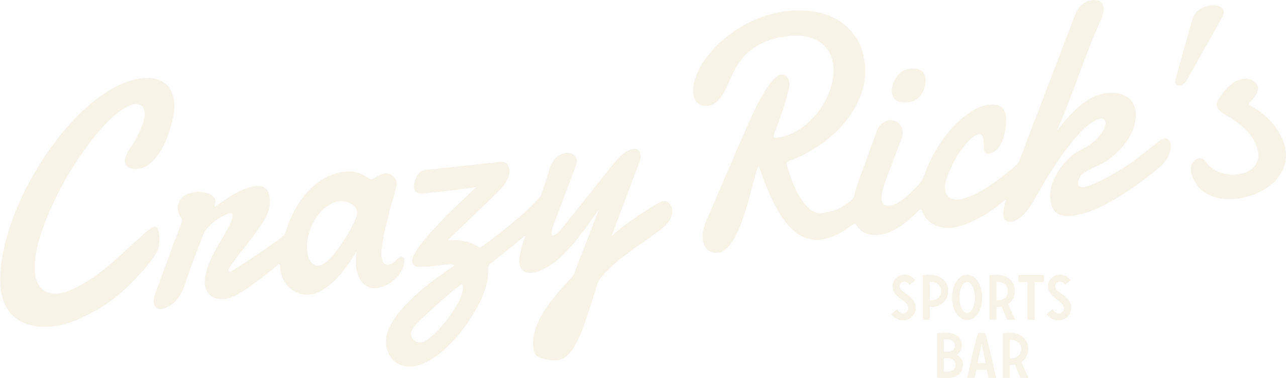Crazy Ricks Logo